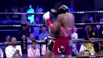 拳王猛虎在线观看,激战巅峰，热血沸腾的在线对决